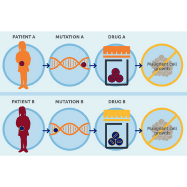 Personalized Medicine and Precision Medicine